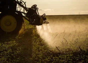 Agronegócio poderá usar linha de crédito do FAT para inovação