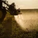 Agronegócio poderá usar linha de crédito do FAT para inovação