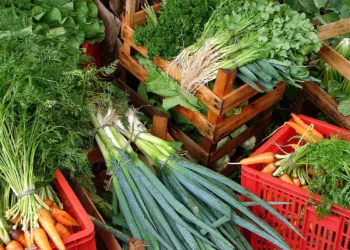 Inca lança campanha para ampliar apoio alimentar a pacientes em situação de vulnerabilidade 17 Inca lança campanha para ampliar apoio alimentar a pacientes em situação de vulnerabilidade
