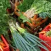 Inca lança campanha para ampliar apoio alimentar a pacientes em situação de vulnerabilidade