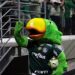 Palmeiras vence Flamengo no Maracanã e amplia vantagem na liderança do Brasileirão 2 Palmeiras vence Flamengo no Maracanã e amplia vantagem na liderança do Brasileirão