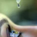 Campanha nacional alerta para diagnóstico precoce do glaucoma no Brasil