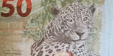 Real brasileiro supera principais moedas globais nesta segunda-feira