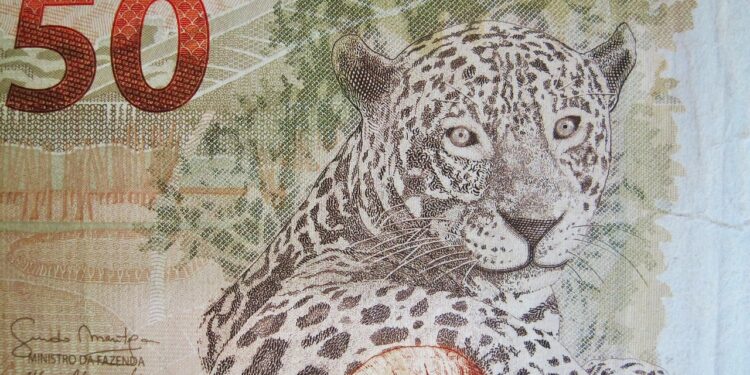 Real brasileiro supera principais moedas globais nesta segunda-feira real lidera ganhos cambio global maio