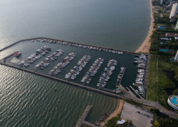 Porto de Paranaguá supera Santos e assume vice-liderança nacional na movimentação de veículos