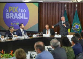 Brasil Busca Novos Parceiros Comerciais para Reduzir Impactos de Tarifas dos EUA