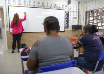 Taxa de analfabetismo cai para 4,9% e atinge menor nível da série histórica no Brasil 14 Taxa de analfabetismo cai para 4,9% e atinge menor nível da série histórica no Brasil