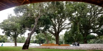 Novo espaço cultural do Sesc deve triplicar atendimentos em Paraty