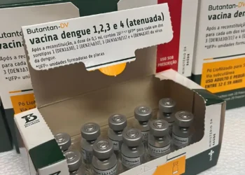 Ministério da Saúde suspende temporariamente vacinação contra a dengue com imunizante do Butantan