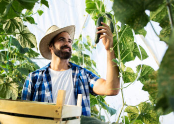 ApexBrasil traz investidores internacionais de SAF e e-SAF para a Fenasucro & Agrocana 2026