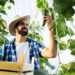ApexBrasil traz investidores internacionais de SAF e e-SAF para a Fenasucro & Agrocana 2026