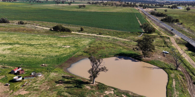 Crédito rural destinou R$ 92,4 bilhões a imóveis com alertas ambientais 14 Foto:Magnific