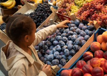 China abre caminho para importação de polpas e frutas congeladas do Brasil