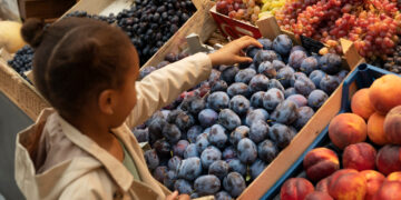 China abre caminho para importação de polpas e frutas congeladas do Brasil