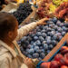 China abre caminho para importação de polpas e frutas congeladas do Brasil