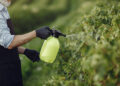 Agrocete lança fertilizante foliar com biofertilizante para aumentar produtividade no campo 23 Agrocete lança fertilizante foliar com biofertilizante para aumentar produtividade no campo