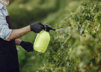 Agrocete lança fertilizante foliar com biofertilizante para aumentar produtividade no campo