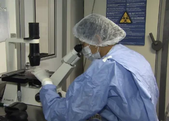 Desinformação sobre HIV dificulta diagnóstico, tratamento e combate ao preconceito, aponta pesquisa 18 Desinformação sobre HIV dificulta diagnóstico, tratamento e combate ao preconceito, aponta pesquisa