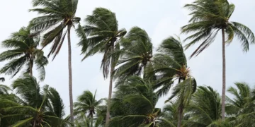 Mais de 510 mil imóveis seguem sem energia elétrica após vendaval no Rio de Janeiro 36 Mais de 510 mil imóveis seguem sem energia elétrica após vendaval no Rio de Janeiro
