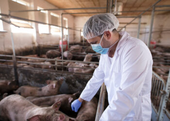 ApexBrasil destaca expansão das exportações de proteínas animais durante feira internacional em São Paulo