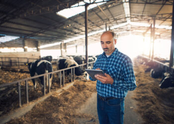 Crédito Agro ganha data para reconhecer profissionais que atuam no financiamento do setor 17 Crédito Agro ganha data para reconhecer profissionais que atuam no financiamento do setor