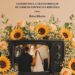 Do altar às câmeras: livro investiga como o casamento se transforma em espetáculona TV brasileira 4 Do altar às câmeras: livro investiga como o casamento se transforma em espetáculona TV brasileira
