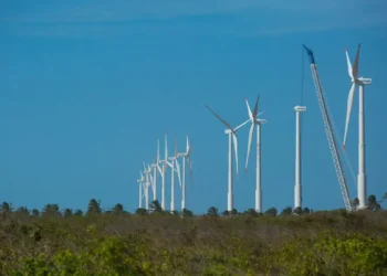 Projeto mapeia caminhos para uma economia verde no Nordeste