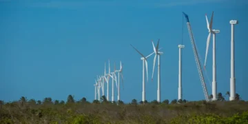 Projeto mapeia caminhos para uma economia verde no Nordeste