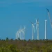 Projeto mapeia caminhos para uma economia verde no Nordeste 2 Projeto mapeia caminhos para uma economia verde no Nordeste