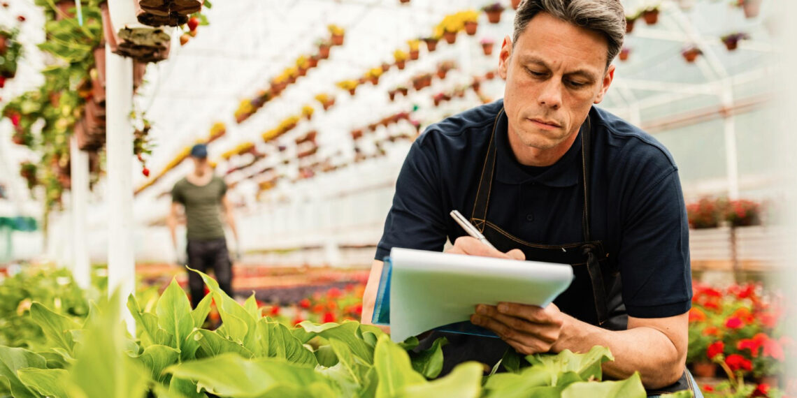 Open Finance começa a ampliar ferramentas de gestão financeira no agronegócio