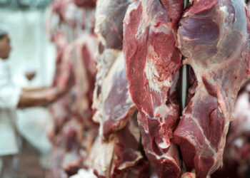 Exportações de carne bovina recuam 27,1% em agosto com limite de cota chinesa