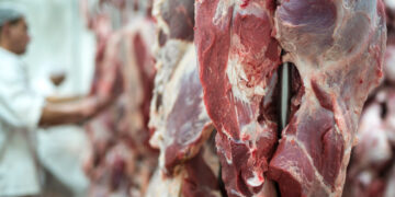 Exportações de carne bovina recuam 27,1% em agosto com limite de cota chinesa